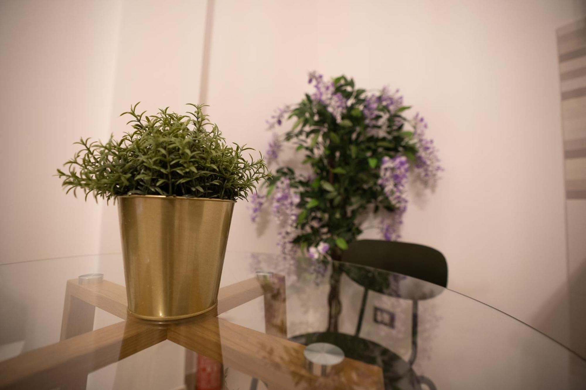 Airport Noa Modern Home Fiumicino Zewnętrze zdjęcie